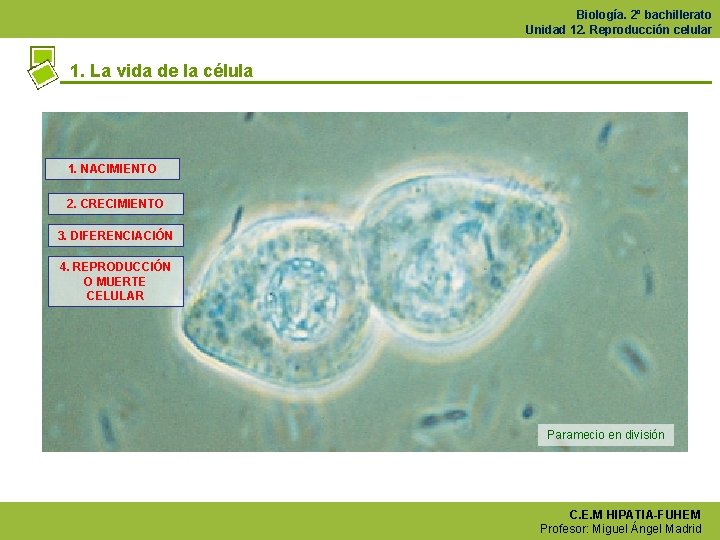 Biología. 2º bachillerato Unidad 12. Reproducción celular 1. La vida de la célula 1.