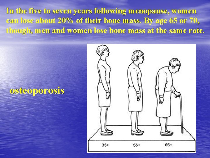 In the five to seven years following menopause, women can lose about 20% of