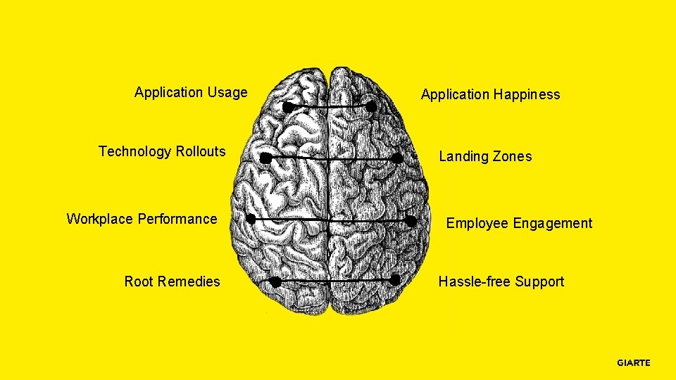 Application Usage Technology Rollouts Workplace Performance Root Remedies Application Happiness Landing Zones Employee Engagement