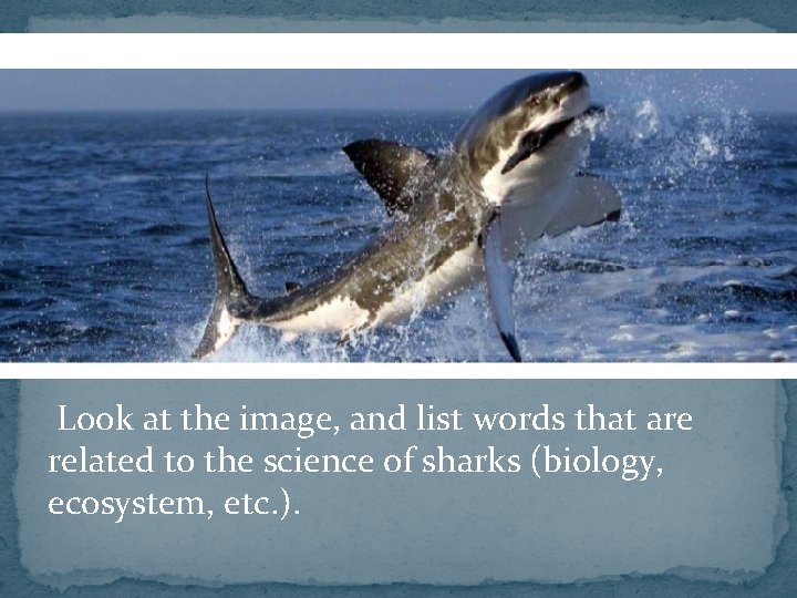 Look at the image, and list words that are related to the science of Look at the image, and list words that are related to the science of
