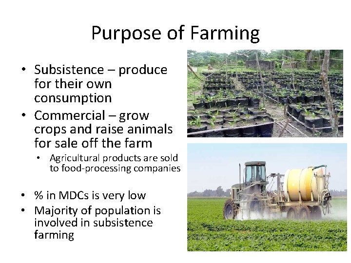 Purpose of Farming • Subsistence – produce for their own consumption • Commercial –