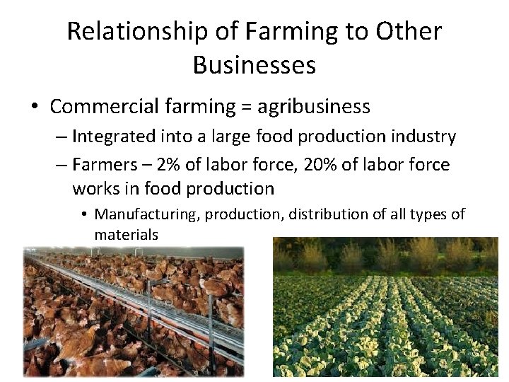 Relationship of Farming to Other Businesses • Commercial farming = agribusiness – Integrated into