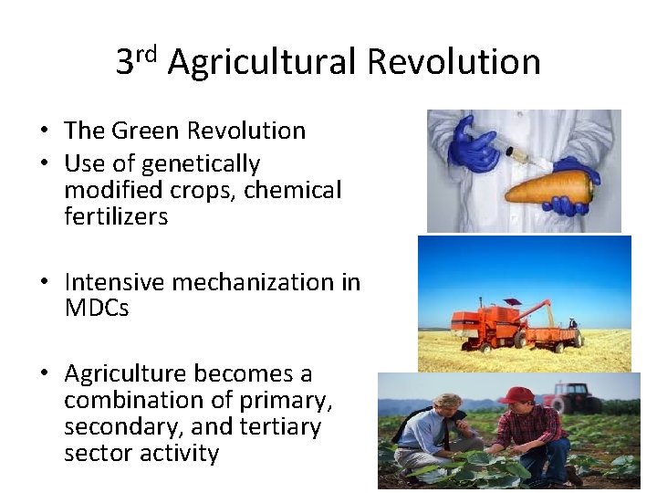 3 rd Agricultural Revolution • The Green Revolution • Use of genetically modified crops,