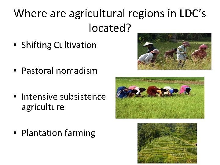 Where agricultural regions in LDC’s located? • Shifting Cultivation • Pastoral nomadism • Intensive