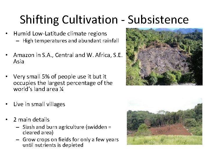 Shifting Cultivation - Subsistence • Humid Low-Latitude climate regions – High temperatures and abundant