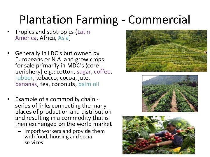 Plantation Farming - Commercial • Tropics and subtropics (Latin America, Africa, Asia) • Generally