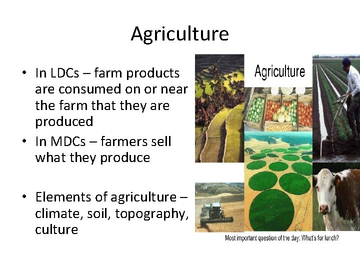 Agriculture • In LDCs – farm products are consumed on or near the farm