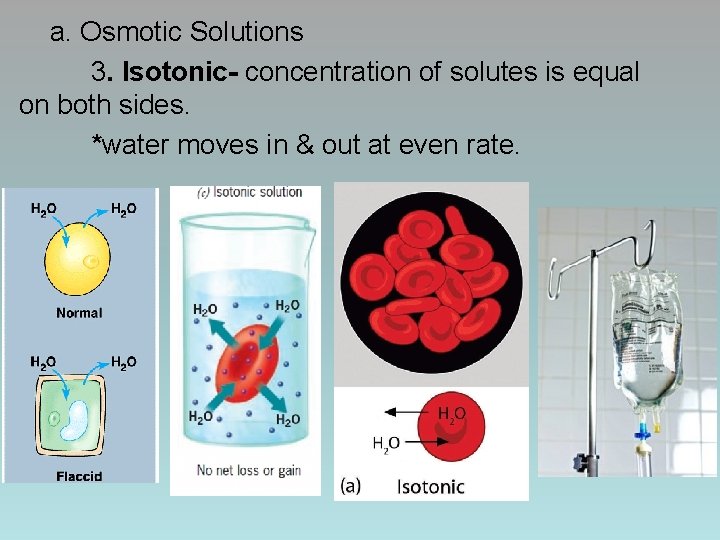 a. Osmotic Solutions 3. Isotonic- concentration of solutes is equal on both sides. *water