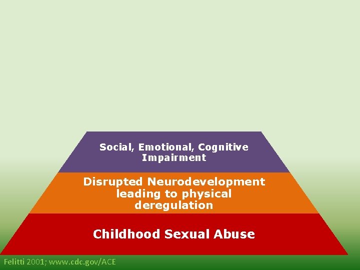 Morbidity Mortality Disease, Disability, and Social Problems Adoption of Health Risk Behaviors Social, Emotional,