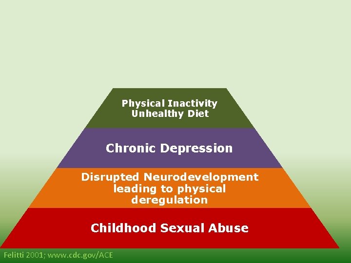 Morbidity Mortality Disease, Disability, and Social Problems Physical Inactivity Unhealthy Diet Chronic Depression Disrupted