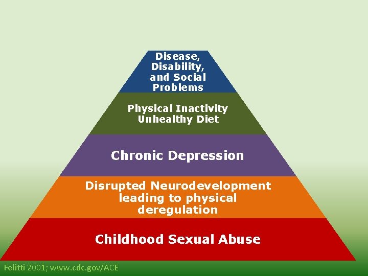 Morbidity Mortality Disease, Disability, and Social Problems Physical Inactivity Unhealthy Diet Chronic Depression Disrupted