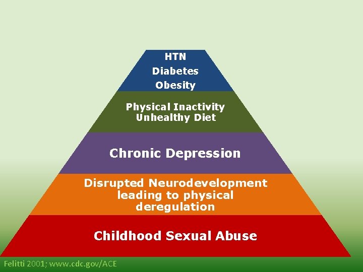 Morbidity Mortality HTN Diabetes Obesity Physical Inactivity Unhealthy Diet Chronic Depression Disrupted Neurodevelopment leading