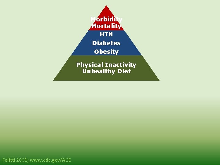 Morbidity Mortality HTN Diabetes Obesity Physical Inactivity Unhealthy Diet Chronic Depression Disrupted Neurodevelopment leading