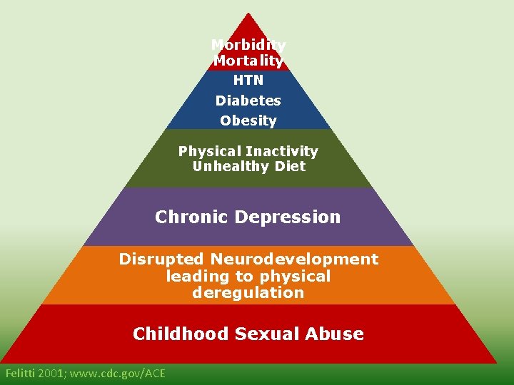 Morbidity Mortality HTN Diabetes Obesity Physical Inactivity Unhealthy Diet Chronic Depression Disrupted Neurodevelopment leading