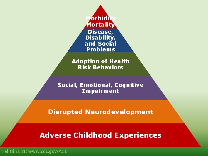 Morbidity Mortality Disease, Disability, and Social Problems Adoption of Health Risk Behaviors Social, Emotional,