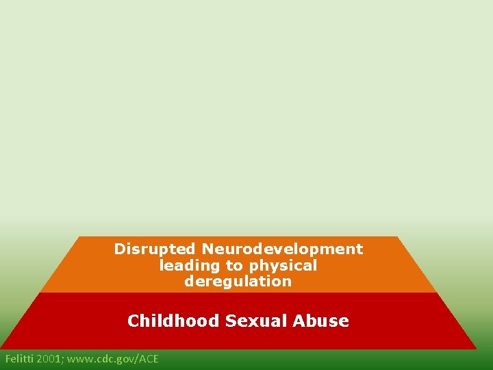 Morbidity Mortality Disease, Disability, and Social Problems Adoption of Health Risk Behaviors Social, Emotional,