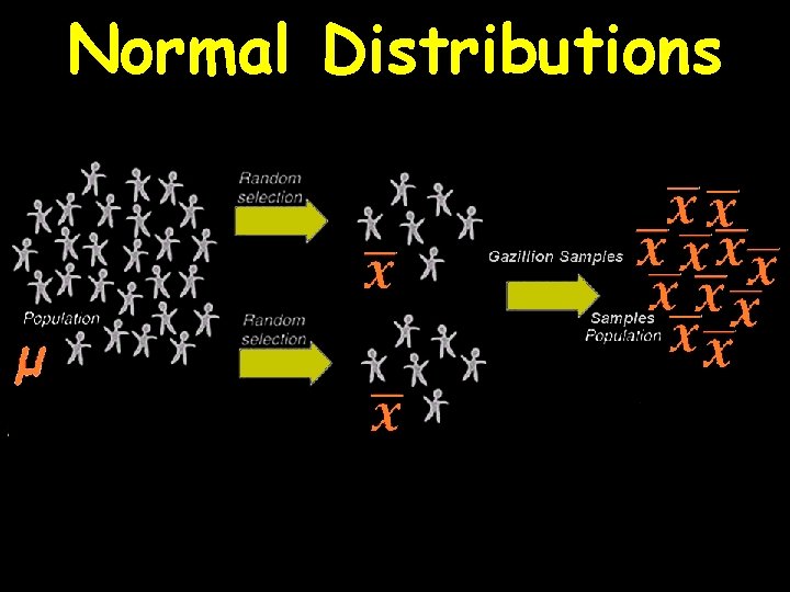Normal Distributions 