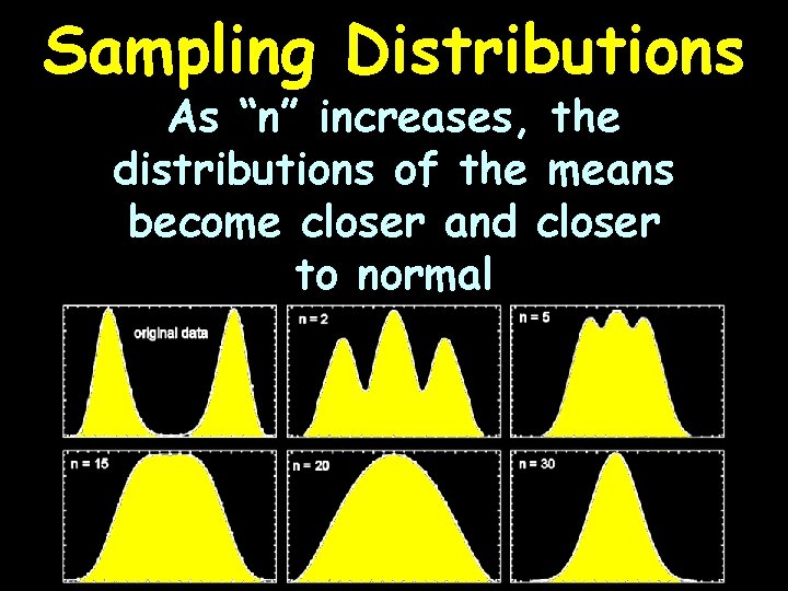 Sampling Distributions As “n” increases, the distributions of the means become closer and closer