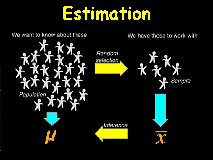 Estimation 