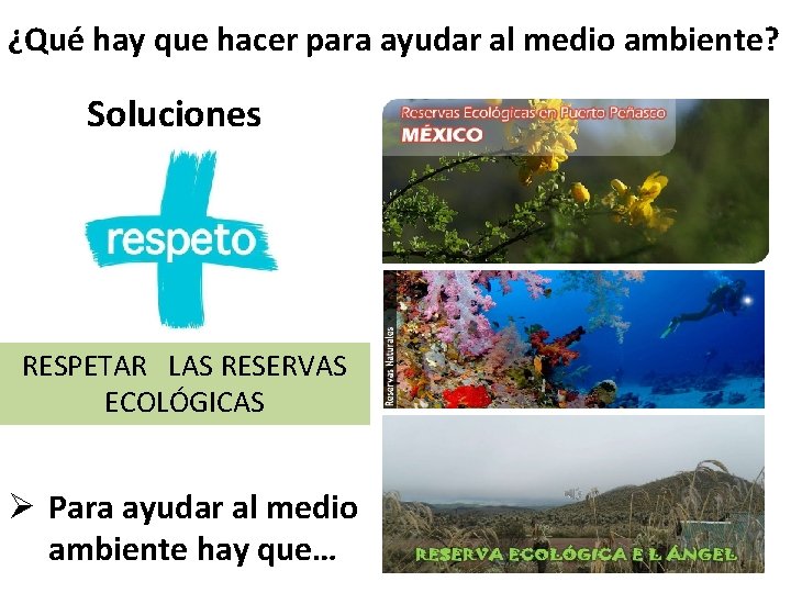 ¿Qué hay que hacer para ayudar al medio ambiente? Soluciones RESPETAR LAS RESERVAS ECOLÓGICAS