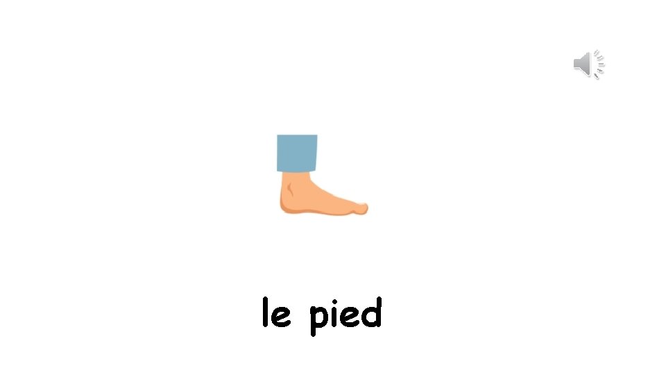 le pied 