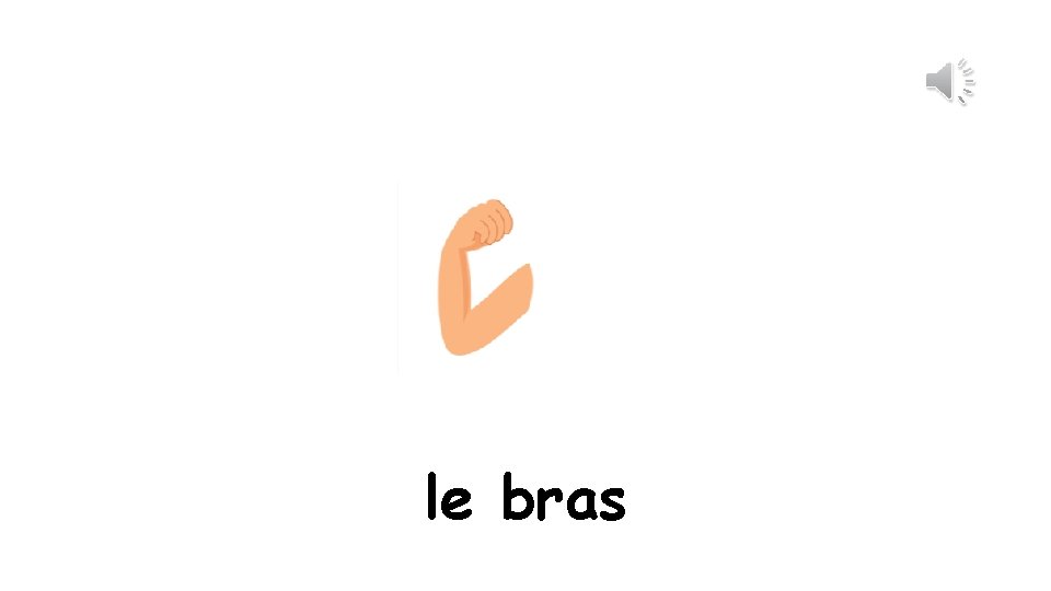 le bras 