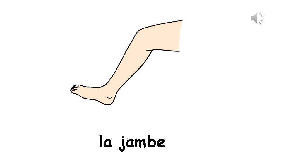 la jambe 