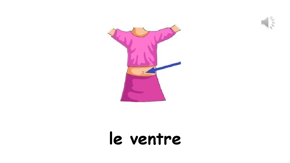 le ventre 