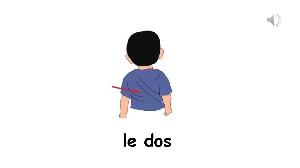 le dos 