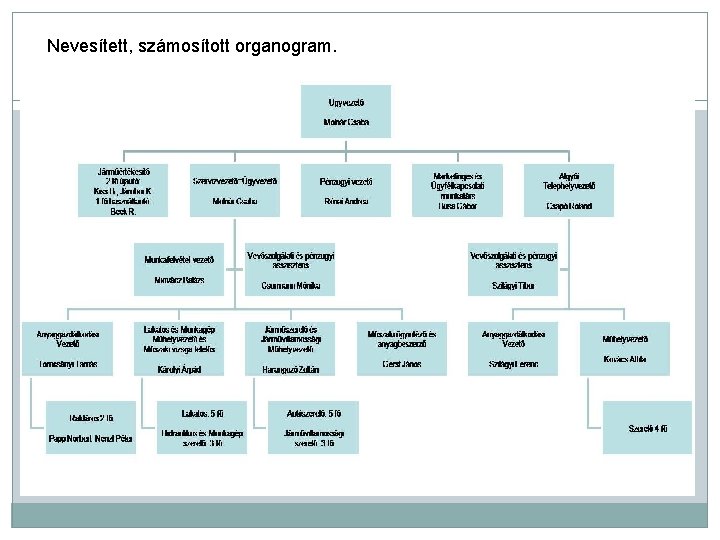 Nevesített, számosított organogram. 