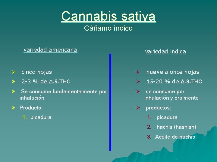 Cannabis sativa Cáñamo índico variedad americana variedad indica Ø cinco hojas Ø nueve a