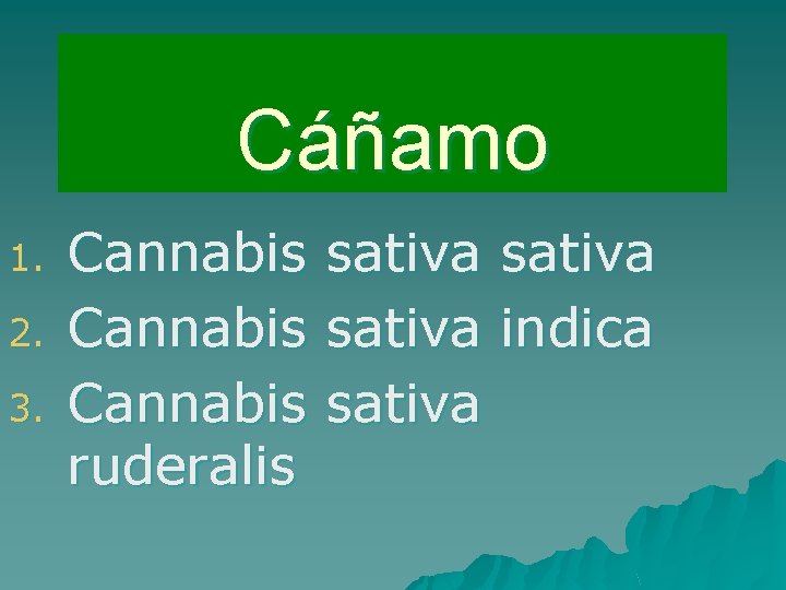 Cáñamo 1. 2. 3. Cannabis ruderalis sativa indica sativa 