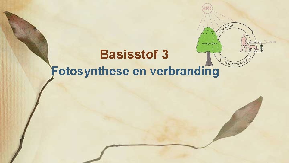 Basisstof 3 Fotosynthese en verbranding 