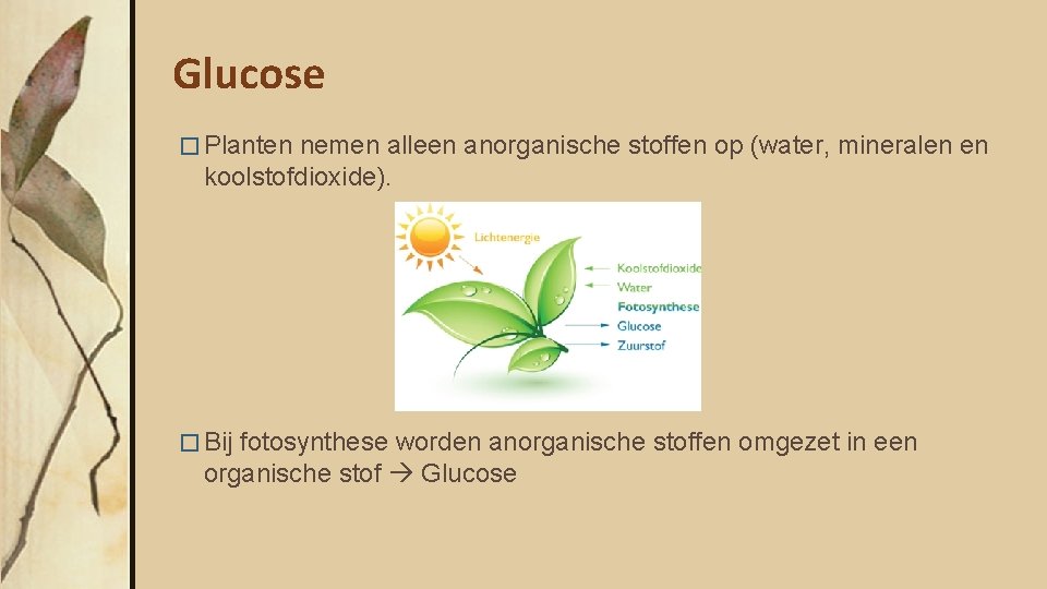 Glucose � Planten nemen alleen anorganische stoffen op (water, mineralen en koolstofdioxide). � Bij