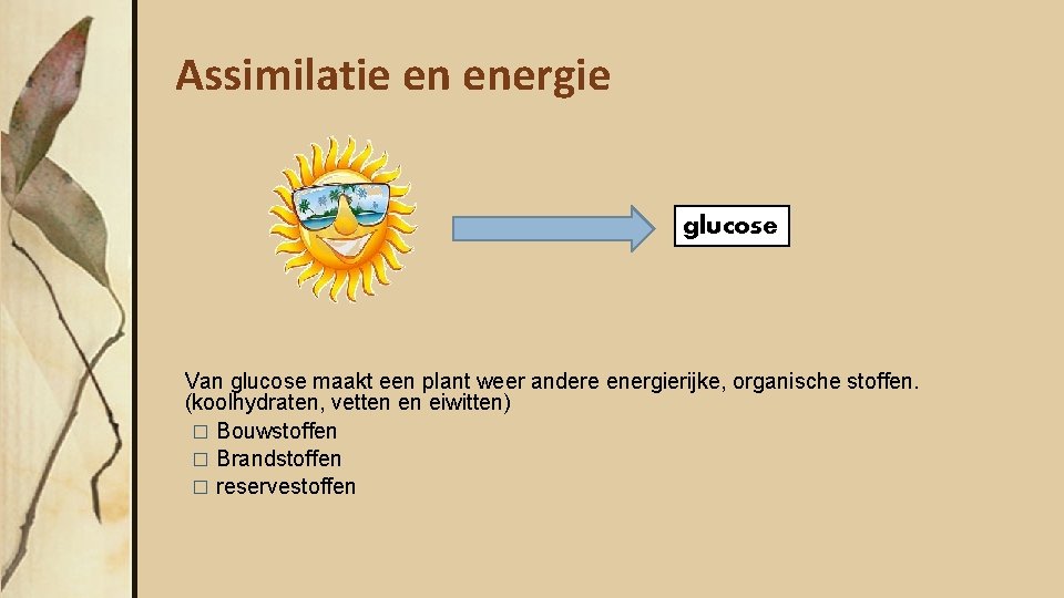 Assimilatie en energie glucose Van glucose maakt een plant weer andere energierijke, organische stoffen.