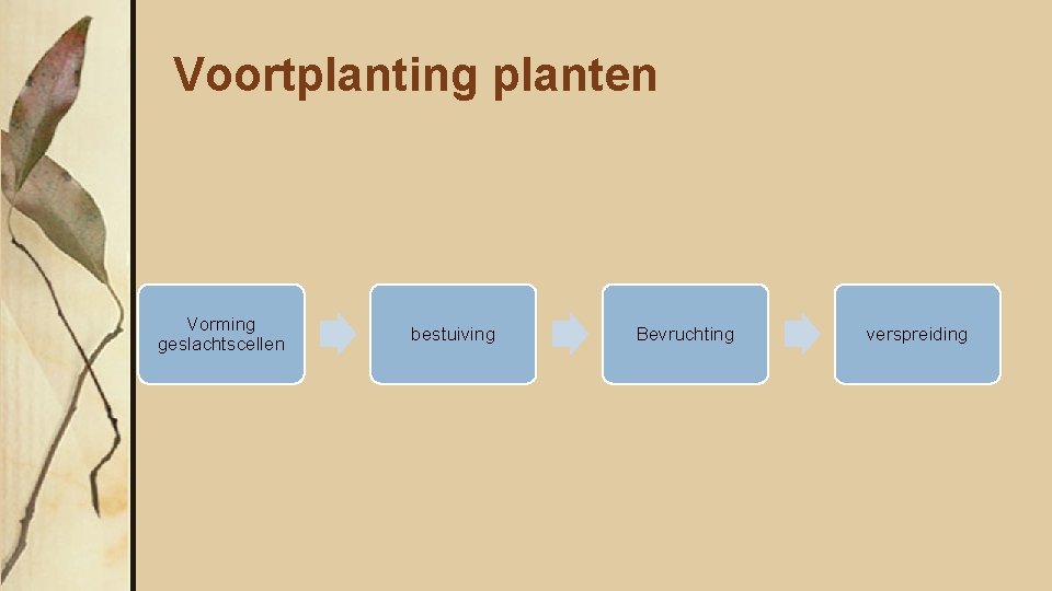 Voortplanting planten Vorming geslachtscellen bestuiving Bevruchting verspreiding 