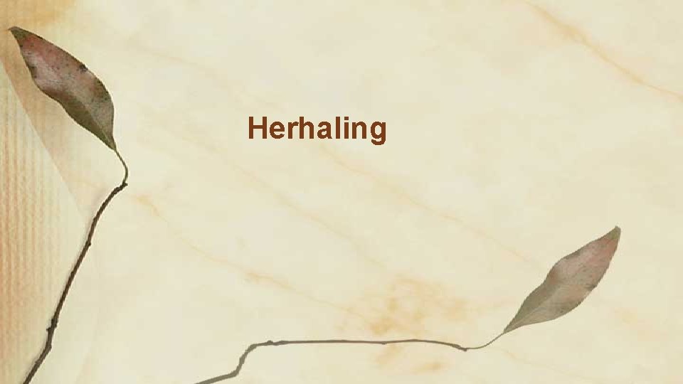 Herhaling 