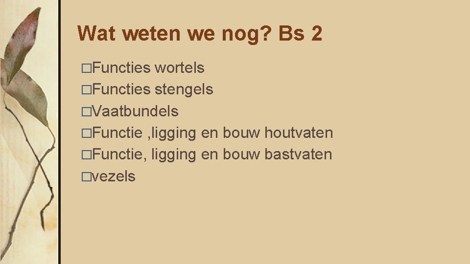 Wat weten we nog? Bs 2 �Functies wortels �Functies stengels �Vaatbundels �Functie , ligging