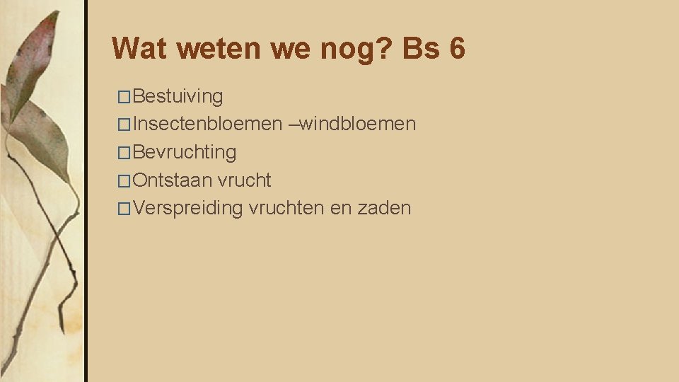 Wat weten we nog? Bs 6 �Bestuiving �Insectenbloemen –windbloemen �Bevruchting �Ontstaan vrucht �Verspreiding vruchten