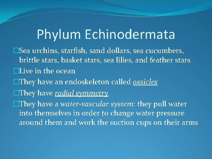 Phylum Echinodermata �Sea urchins, starfish, sand dollars, sea cucumbers, brittle stars, basket stars, sea