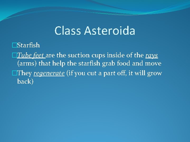 Class Asteroida �Starfish �Tube feet are the suction cups inside of the rays (arms)