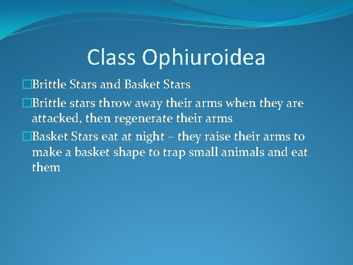 Class Ophiuroidea �Brittle Stars and Basket Stars �Brittle stars throw away their arms when