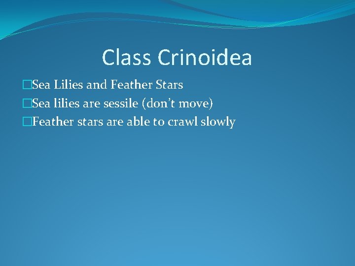 Class Crinoidea �Sea Lilies and Feather Stars �Sea lilies are sessile (don’t move) �Feather