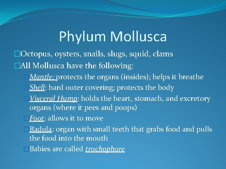 Phylum Mollusca �Octopus, oysters, snails, slugs, squid, clams �All Mollusca have the following: �Mantle: