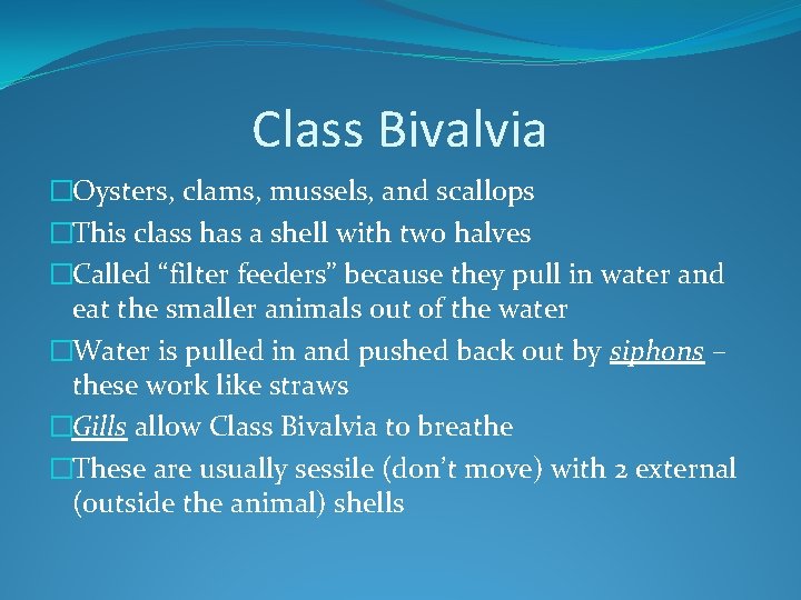 Class Bivalvia �Oysters, clams, mussels, and scallops �This class has a shell with two