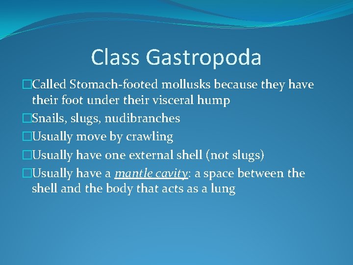 Class Gastropoda �Called Stomach-footed mollusks because they have their foot under their visceral hump