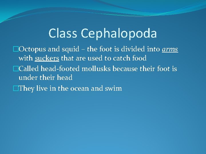 Class Cephalopoda �Octopus and squid – the foot is divided into arms with suckers