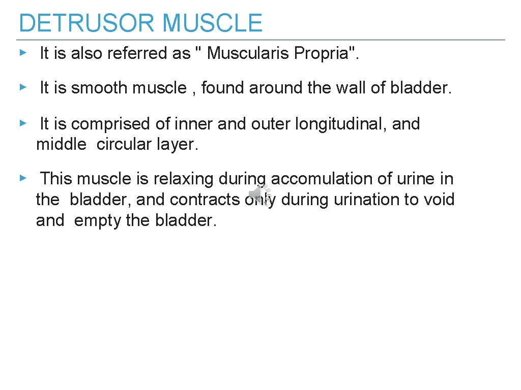 DETRUSOR MUSCLE ▸ It is also referred as " Muscularis Propria". ▸ It is