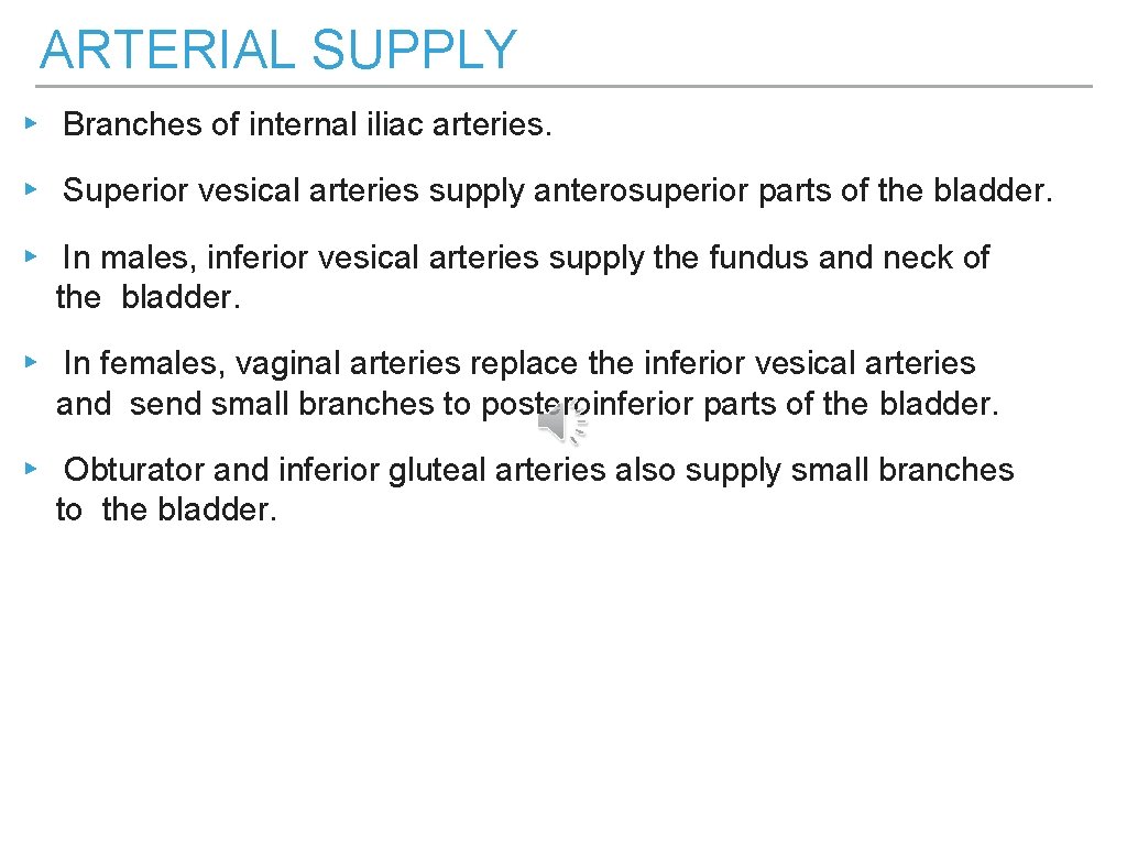 ARTERIAL SUPPLY ▸ Branches of internal iliac arteries. ▸ Superior vesical arteries supply anterosuperior