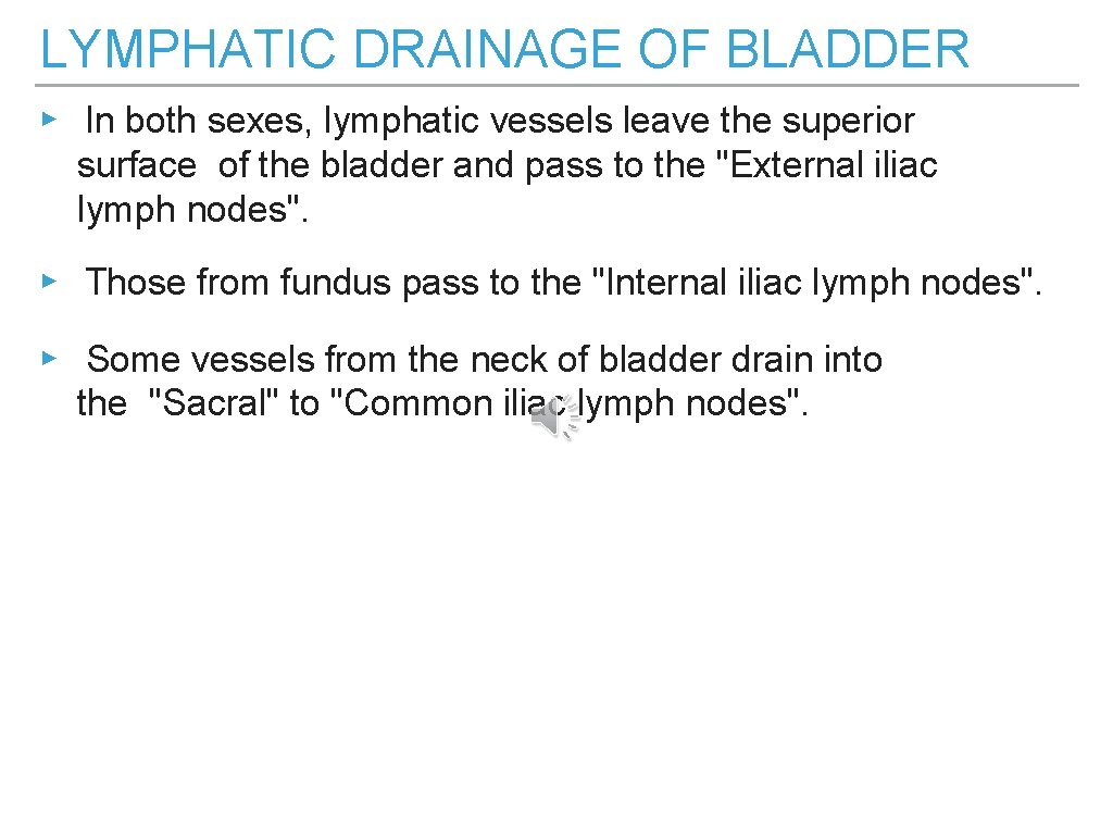LYMPHATIC DRAINAGE OF BLADDER ▸ In both sexes, lymphatic vessels leave the superior surface
